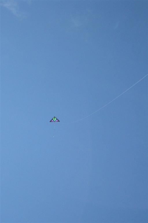 Perfect Breezes for 2009 Kite Day